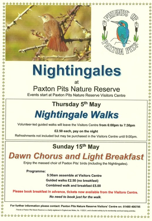 Nightingales